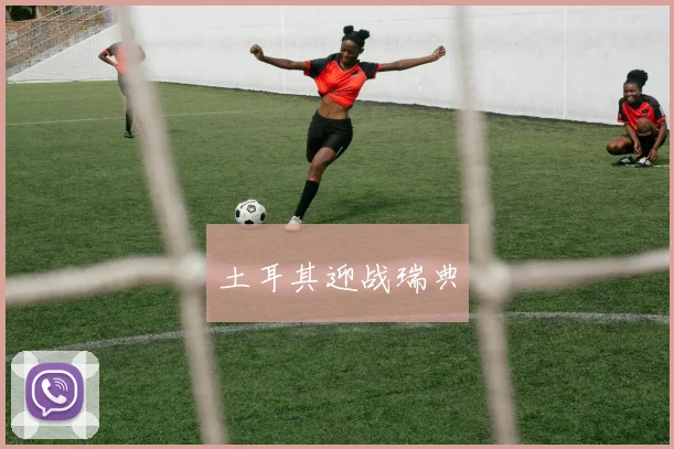 土耳其迎战瑞典