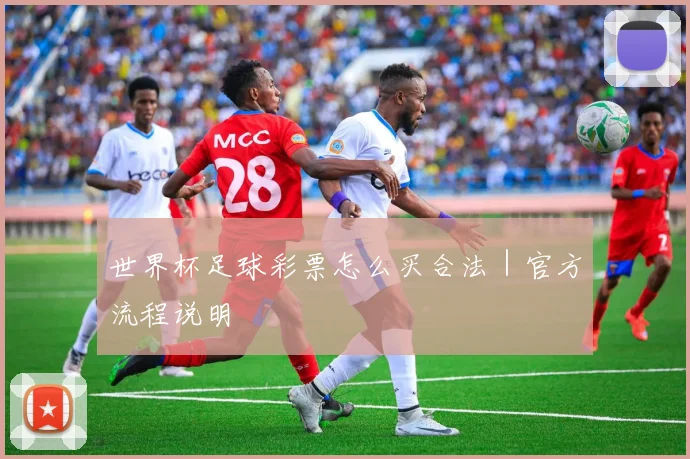 世界杯足球彩票怎么买合法｜官方流程说明